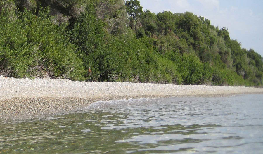 seaside and the sea at 'Eleonas' with trees on the background on the hill